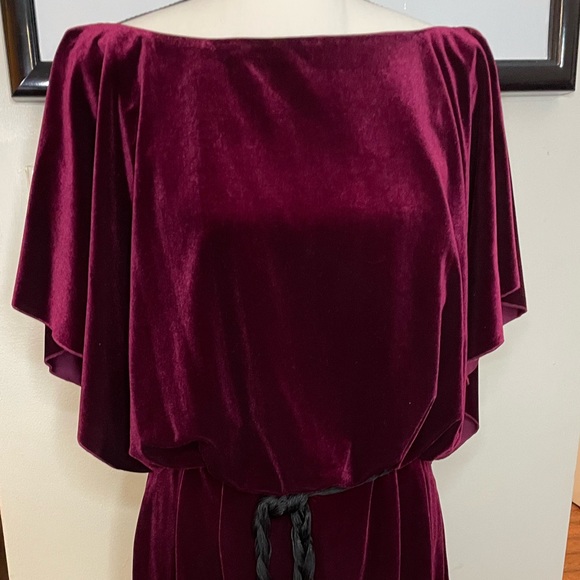 NWOT Berry Velvet Dress. Preserved for 10years, now certainly “One of a kind.” - Picture 1 of 5